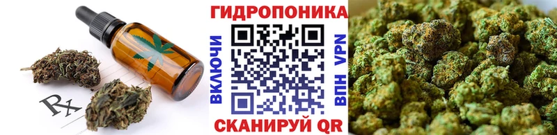 MEGA вход  Тулун  Canna-Cookies конопля  наркотики 