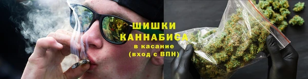 молекула духа Надым