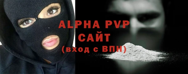 молекула духа Надым