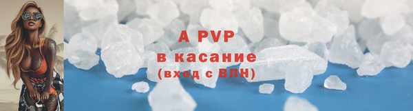 молекула духа Надым
