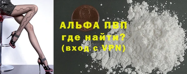 молекула духа Надым