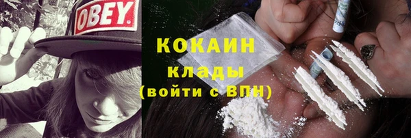 молекула духа Надым