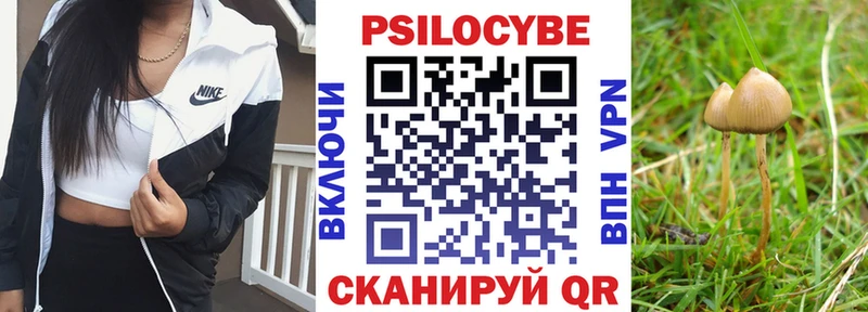 Псилоцибиновые грибы GOLDEN TEACHER  Тулун 